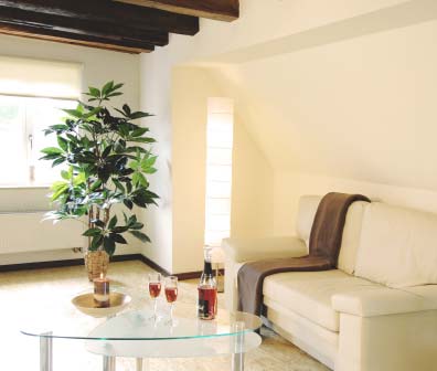Appartementhaus Am Weiher: Beispiel-Appartement